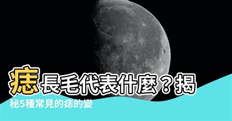 背後長毛|【背後長毛】揭秘背後長毛的奧秘：富貴還是厄運？ – 最新新聞